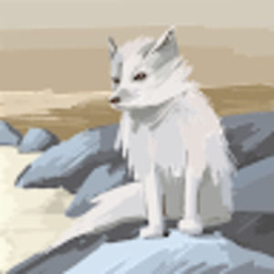 Meet your Posher, Mereya